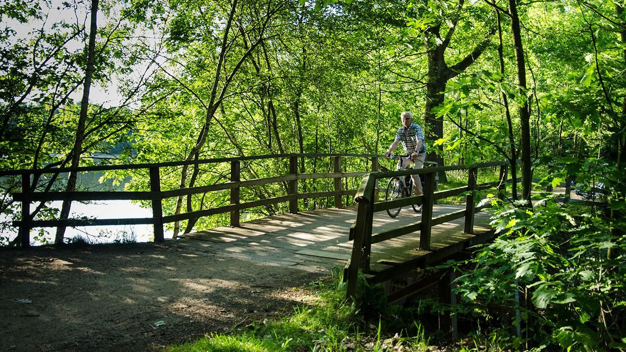 voorjaar-fietsen-hulsbeek.769565dc664959e383f7d5ba6be6177f.jpg