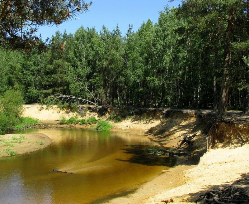 lutterzand-nabij-villapark-eureka.jpg